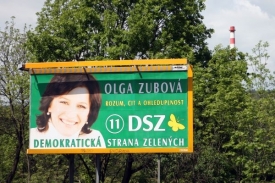 Přes masivní kampaň, DSZ v eurovolbách propadla.
