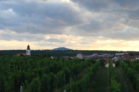 Velké Pavlovice se vyznačují pěstováním vinné révy a meruněk. Velké Pavlovice se vyznačují pěstováním vinné révy a meruněk.