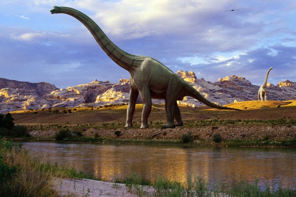 Od dob dinosaurů po souši nechodila tak obrovská monstra. Od dob dinosaurů po souši nechodila tak obrovská monstra.