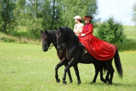 Slavnosti koní, historie a řemesel.