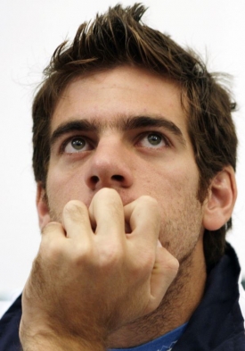 Juan Martín del Potro