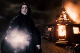 Harry Potter a Princ Dvojí krve