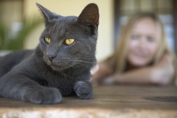 Sebevědomá osobnost, nebo vypočítavá potvora? (Myslíme tu vlevo.)