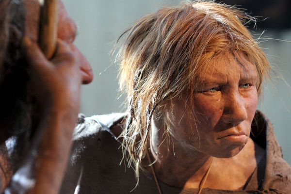 Celou populaci neandertálců zřejmě tvořilo kolem sedmi tisíc jedinců.