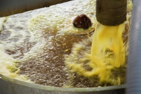 Cibulová šťáva bohatá na sacharidy chutná metanogenním bakteriím.