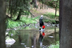 Národní park České Švýcarsko.