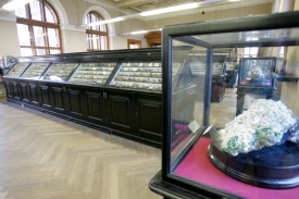 Mnoho expozic v historické budově je zastaralých, čekají je změny.