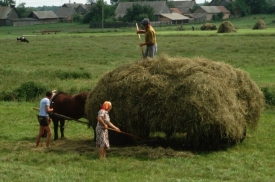 Mnoho lidí Bialowiez opustilo po válce. Nyní tam bydlí asi 2000 lidí.