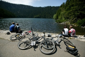 Cyklisté. Ilustrační foto.