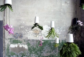 Sky planter od designéra Patricka Morrise.