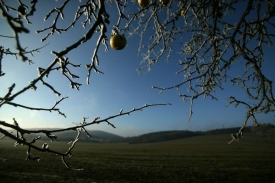 V pěti centimetrech nad zemí naměřili meteorologové minus 2,2 stupně.