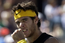 Del Potro doslova vlétl do svého prvního grandslamového finále.