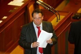 Předčasné volby nebudou. Kvůli Paroubkovi.