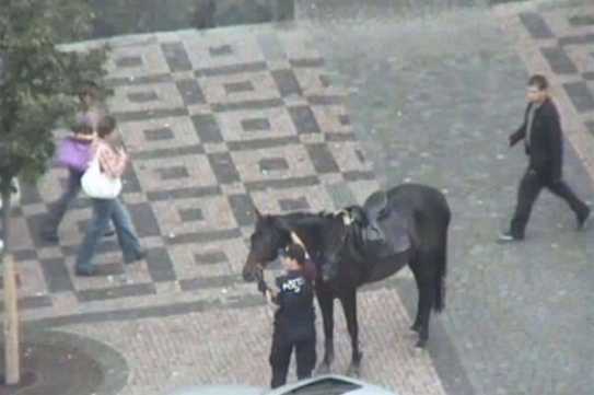 Kůň v p&eacute;či městsk&yacute;ch str&aacute;žn&iacute;ků