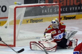 Dominik Ha&scaron;ek