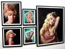 V&yacute;stava fotografi&iacute; slavn&eacute; Brigitte Bardotov&eacute;.