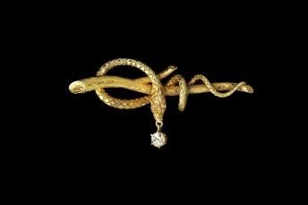 Brož, kterou nosila Albrightová poté, co ji Saddám nazval hadem. Brož, kterou nosila Albrightová poté, co ji Saddám nazval hadem.