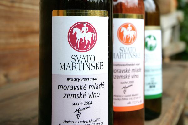 O Svatomartinské víno je stále větší zájem. O Svatomartinské víno je stále větší zájem.