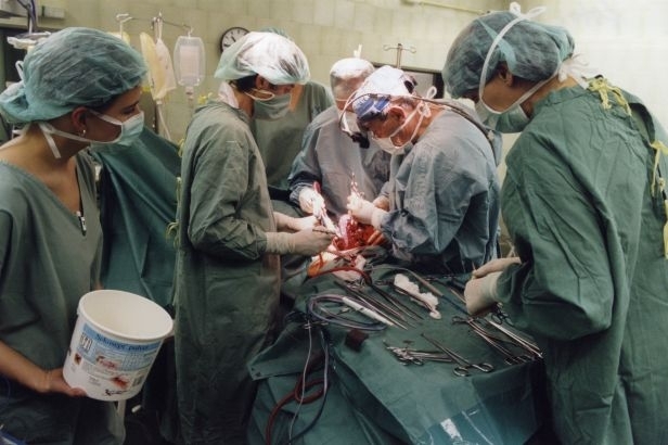 Transplantace plic. Jediný zákrok, který se provádí čím dál častěji.