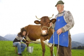 Kr&aacute;va Bětka pr&yacute; doj&iacute; v&iacute;ce než anonymn&iacute; dojnice. Dost možn&aacute; ano, ale...