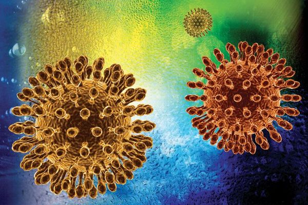 Viry HIV umíme držet na uzdě, úplně se jich zbavit je však problém. Viry HIV umíme držet na uzdě, úplně se jich zbavit je však problém.