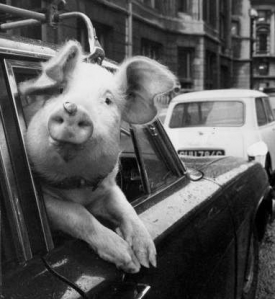 Takov&iacute; z&aacute;kazn&iacute;ci maj&iacute; v Kazani v muslimsk&yacute;ch taxi smůlu.