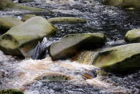 Šumava