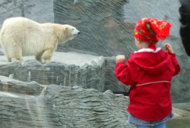 Zoo patř&iacute; mezi nejnav&scaron;těvovaněj&scaron;&iacute; m&iacute;sta Prahy.