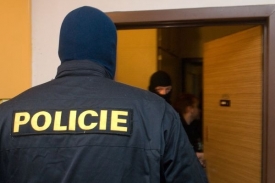 Policie odtajnila detaily středeční razie proti pravicovým radikálům.