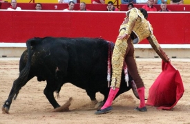 Derechazo, figura, při níž se drží muleta pravicí. Pamplona, červenec.