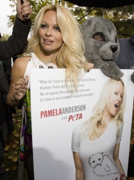 Pamela Anderson se nenud&iacute;.