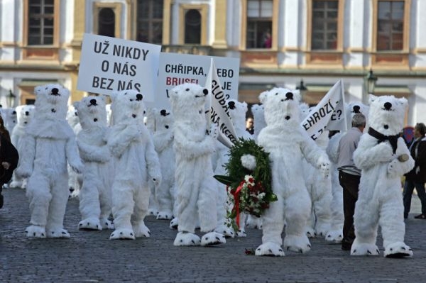 Lední medvědi obsadili Hrad. 