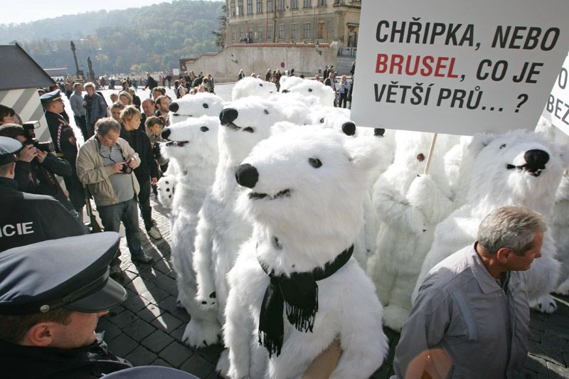 Medvědi byli podle všeho zaplacení neznámou agenturou.