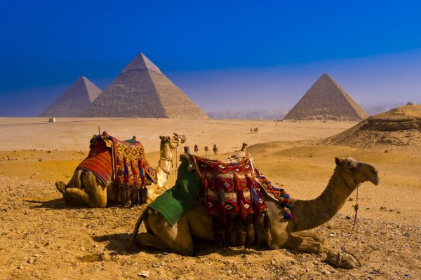 Čeští senioři jezdí prý letos hlavně do Egypta. Čeští senioři jezdí prý letos hlavně do Egypta.