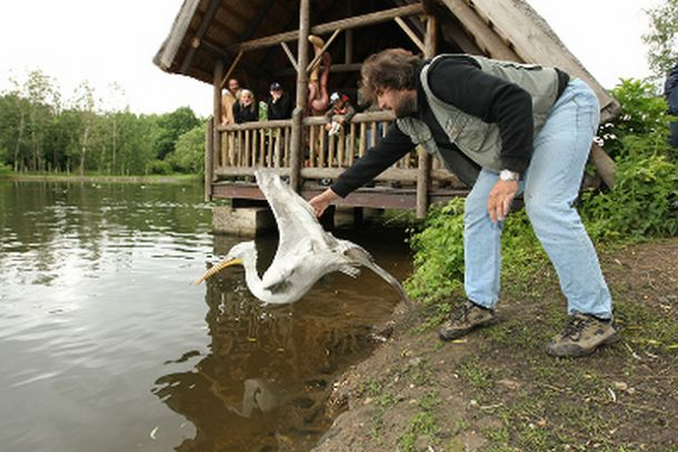 Zooparku v Chomutově se nelíbí jednání Nadace na ochranu fauny Evropy.