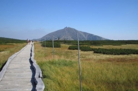 Turist&eacute; budou muset nejvy&scaron;&scaron;&iacute; českou horu nav&scaron;t&iacute;vit pě&scaron;ky.