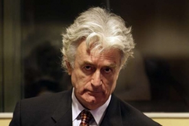 Karadžić nasadil zdržovací strategii.