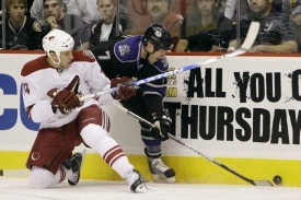 Momentka z utk&aacute;n&iacute; hokejov&eacute; NHL Phoenix - Los Angeles.