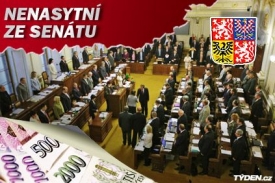 Výsledek kontroly náhrad zákonodárců?Ušetřený milion, pokání politiků.