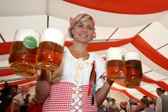Malé pivovary chtějí kvůli dani přejmenovat pivo na sladové víno.