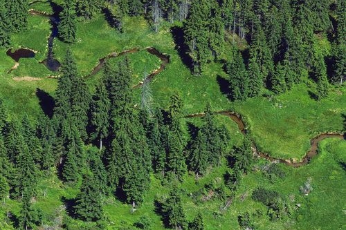 Krkonošský národní park. Ilustrační foto.