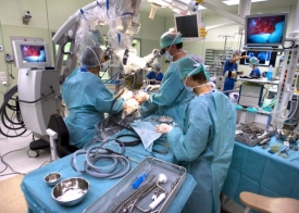 Vydavatelstv&iacute; Ambitmedia se zaměřuje na odborn&eacute; medic&iacute;nsk&eacute; tituly.
