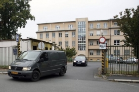 V karlovarské nemocnici v říjnu na prasečí chřipku zemřela žena.