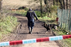 Policisté a psovodi pátrali na místě, kde Tauchen zemřel.