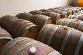 Aukce v Hospici de Beaune vynese každ&yacute; rok minim&aacute;lně dva miliony eur.