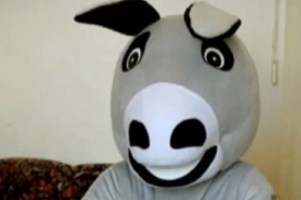 V osl&iacute; kůži může b&yacute;t poř&aacute;dně horko.