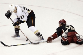Obránce Anaheimu Scott Niedermayer (vlevo).