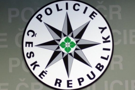 Pražský policista skončil ve vazbě (ilustrační foto).
