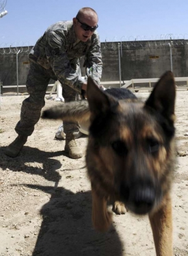 Americký psovod na základně Bagram.