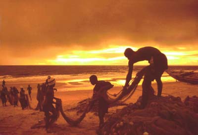 Změny klimatu připravují čász Afriky o tradiční způsoby obživy.